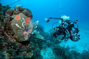 潛水設(shè)備 憑實(shí)力單身的“硬核”浪漫與邏輯分析